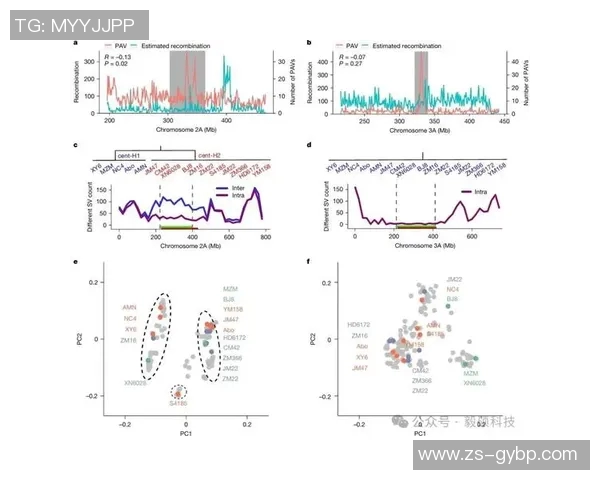 职业赛车手反应时间与成绩波动的高频数据分析